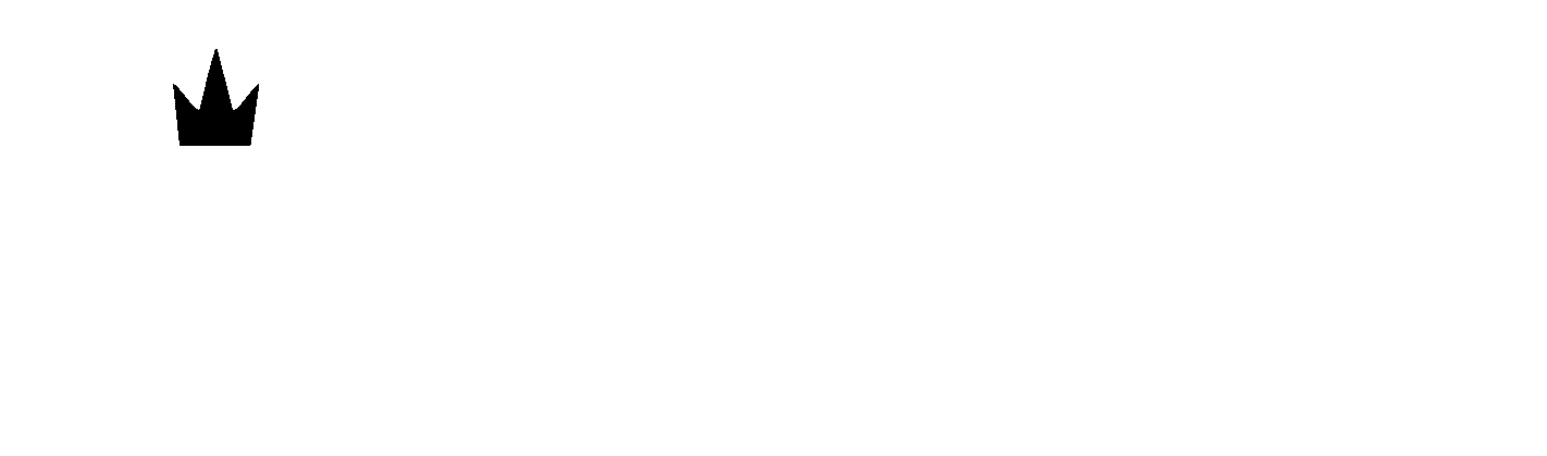 The Bodhi Group